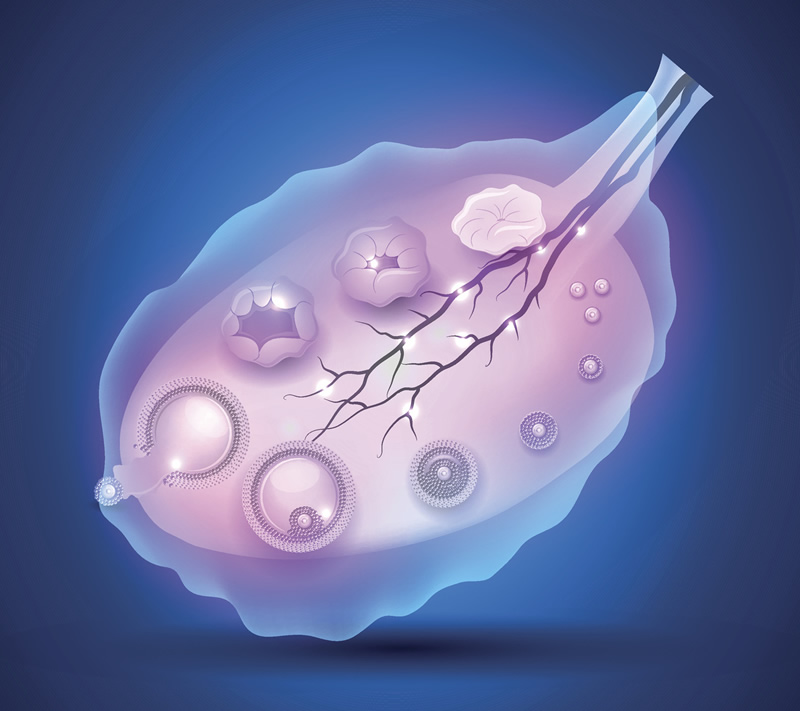 大连试管助孕医院排名榜公开！2025年试管医院、费用详情及选择指南，附十大医院技术对比分析